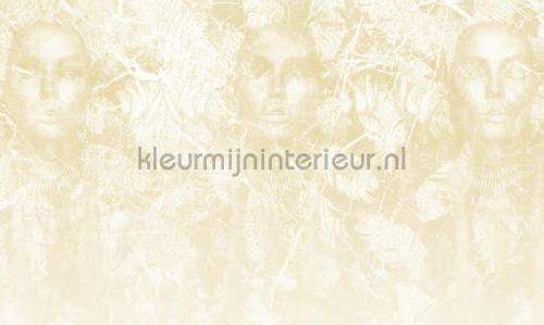 Noordwand Vanilla Lime 14350 | Bestellen bij https://www.kleurmijninterieur.nl/