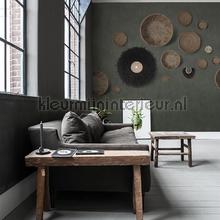 Noordwand Vanilla Lime 14324 | Bestellen bij https://www.kleurmijninterieur.nl/
