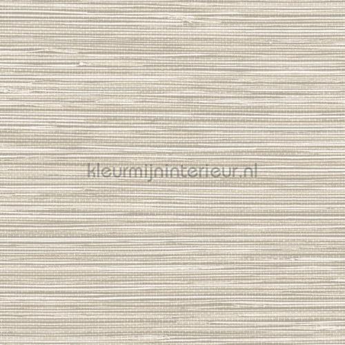 Hookedonwalls Tahiti TA25040 | Bestellen bij https://www.kleurmijninterieur.nl/