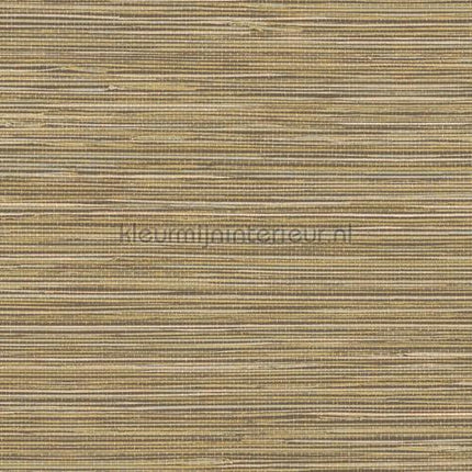 Hookedonwalls Tahiti TA25042 | Bestellen bij https://www.kleurmijninterieur.nl/