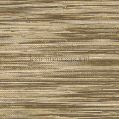 Hookedonwalls Tahiti TA25042 | Bestellen bij https://www.kleurmijninterieur.nl/