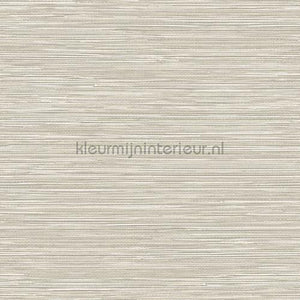 Hookedonwalls Leopard Walk TA25040 | Bestellen bij https://www.kleurmijninterieur.nl/