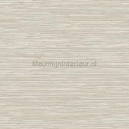 Hookedonwalls Leopard Walk TA25040 | Bestellen bij https://www.kleurmijninterieur.nl/