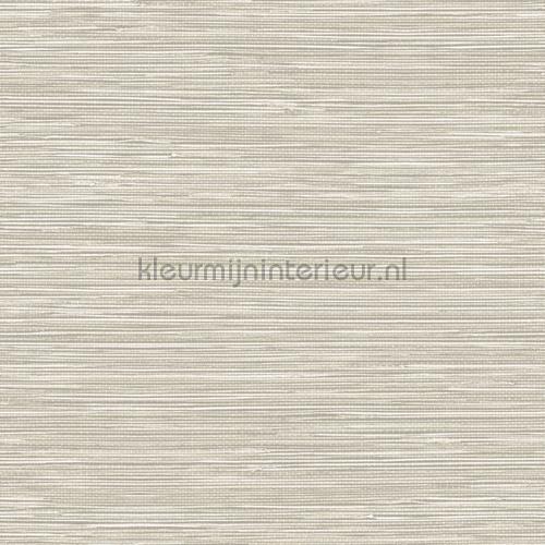 Hookedonwalls Leopard Walk TA25040 | Bestellen bij https://www.kleurmijninterieur.nl/