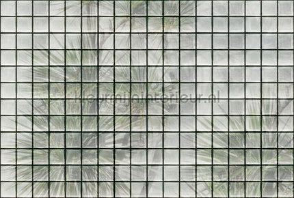AS Creation Walls by Patel 3 DD122072 | Bestellen bij https://www.kleurmijninterieur.nl/