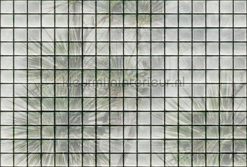 AS Creation Walls by Patel 3 DD122072 | Bestellen bij https://www.kleurmijninterieur.nl/