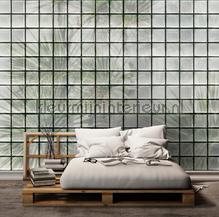 AS Creation Walls by Patel 3 DD122072 | Bestellen bij https://www.kleurmijninterieur.nl/
