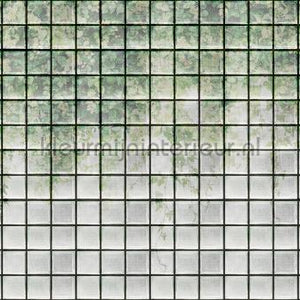 AS Creation Walls by Patel 3 DD122076 | Bestellen bij https://www.kleurmijninterieur.nl/