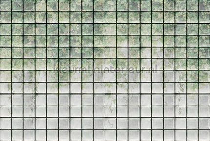 AS Creation Walls by Patel 3 DD122076 | Bestellen bij https://www.kleurmijninterieur.nl/