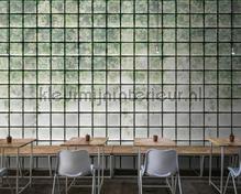 AS Creation Walls by Patel 3 DD122076 | Bestellen bij https://www.kleurmijninterieur.nl/