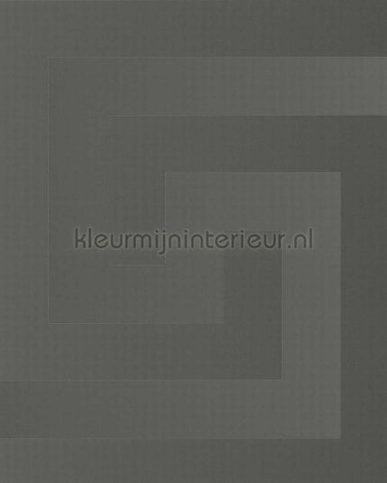 Versace wallpaper Versace 5 386091 | Bestellen bij https://www.kleurmijninterieur.nl/