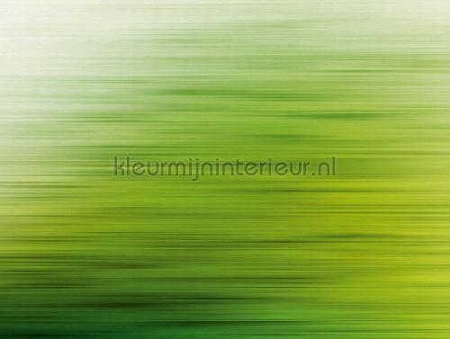 Livingwalls Metropolitan Stories THE WALL 382611 | Bestellen bij https://www.kleurmijninterieur.nl/
