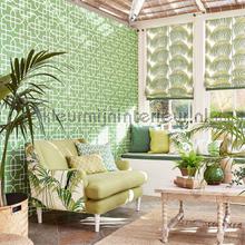 Sanderson Glasshouse 216660 | Bestellen bij https://www.kleurmijninterieur.nl/