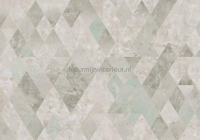 Komar INK INX8-089 | Bestellen bij https://www.kleurmijninterieur.nl/