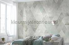 Komar INK INX8-089 | Bestellen bij https://www.kleurmijninterieur.nl/