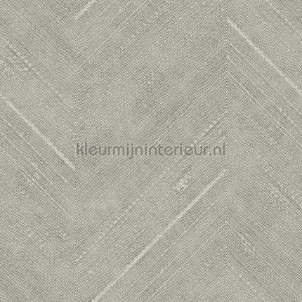 Hookedonwalls Leopard Walk 15317 | Bestellen bij https://www.kleurmijninterieur.nl/