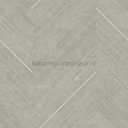 Hookedonwalls Leopard Walk 15317 | Bestellen bij https://www.kleurmijninterieur.nl/