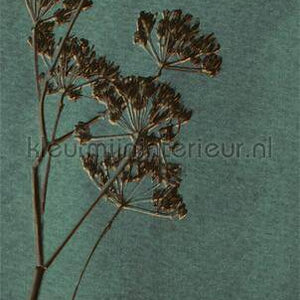 Eijffinger Wallpower Favourites 309024 | Bestellen bij https://www.kleurmijninterieur.nl/