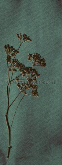 Eijffinger Wallpower Favourites 309024 | Bestellen bij https://www.kleurmijninterieur.nl/