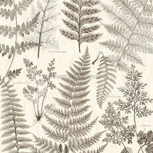 Eijffinger Wallpower Favourites 309018 | Bestellen bij https://www.kleurmijninterieur.nl/