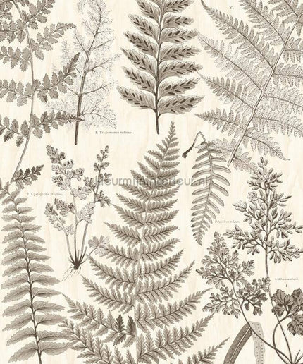 Eijffinger Wallpower Favourites 309018 | Bestellen bij https://www.kleurmijninterieur.nl/