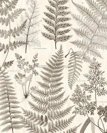 Eijffinger Wallpower Favourites 309018 | Bestellen bij https://www.kleurmijninterieur.nl/