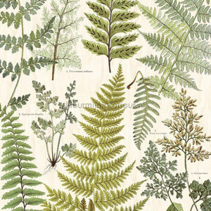 Eijffinger Wallpower Favourites 309017 | Bestellen bij https://www.kleurmijninterieur.nl/