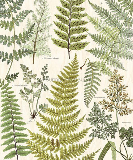 Eijffinger Wallpower Favourites 309017 | Bestellen bij https://www.kleurmijninterieur.nl/