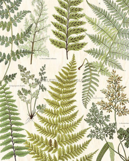 Eijffinger Wallpower Favourites 309017 | Bestellen bij https://www.kleurmijninterieur.nl/
