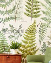 Eijffinger Wallpower Favourites 309017 | Bestellen bij https://www.kleurmijninterieur.nl/