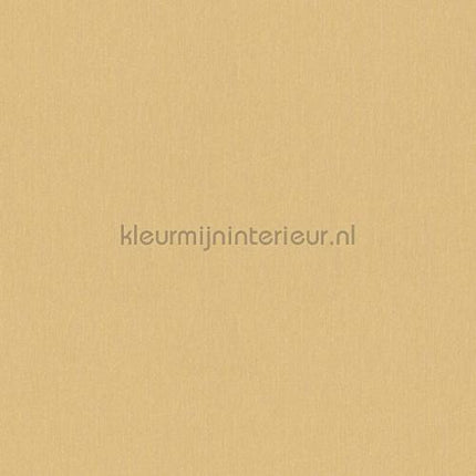 Versace wallpaper Versace 4 343275 | Bestellen bij https://www.kleurmijninterieur.nl/