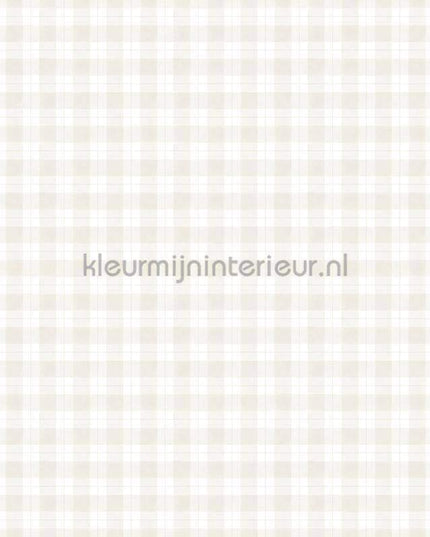 Sandberg Kolonin 245-21 | Bestellen bij https://www.kleurmijninterieur.nl/