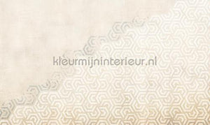 Noordwand Vanilla Lime 14188 | Bestellen bij https://www.kleurmijninterieur.nl/