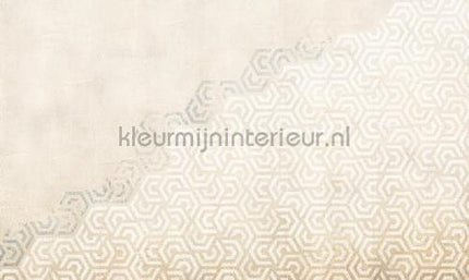 Noordwand Vanilla Lime 14188 | Bestellen bij https://www.kleurmijninterieur.nl/