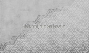 Noordwand Vanilla Lime 14190 | Bestellen bij https://www.kleurmijninterieur.nl/