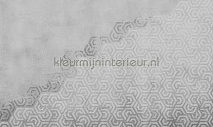 Noordwand Vanilla Lime 14190 | Bestellen bij https://www.kleurmijninterieur.nl/
