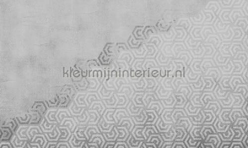 Noordwand Vanilla Lime 14190 | Bestellen bij https://www.kleurmijninterieur.nl/