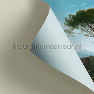 AS Creation Walls by Patel 3 DD122132 | Bestellen bij https://www.kleurmijninterieur.nl/