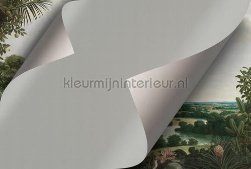 AS Creation Walls by Patel 3 DD122124 | Bestellen bij https://www.kleurmijninterieur.nl/
