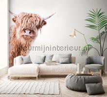 Livingwalls ARTist dd119825 | Bestellen bij https://www.kleurmijninterieur.nl/