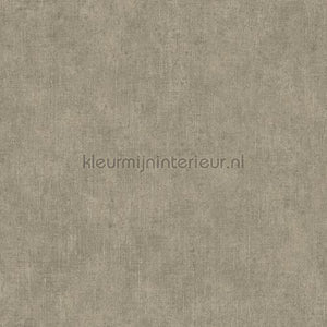 Hookedonwalls Leopard Walk 15306 | Bestellen bij https://www.kleurmijninterieur.nl/