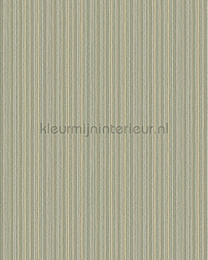 Hookedonwalls Tropical Weave 18849 | Bestellen bij https://www.kleurmijninterieur.nl/
