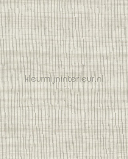 Hookedonwalls Barklay 35100 | Bestellen bij https://www.kleurmijninterieur.nl/