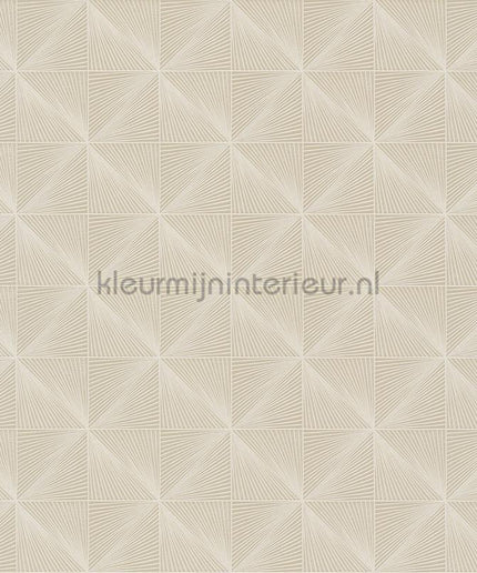 Hookedonwalls Barklay 35160 | Bestellen bij https://www.kleurmijninterieur.nl/