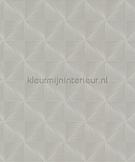 Hookedonwalls Barklay 35161 | Bestellen bij https://www.kleurmijninterieur.nl/
