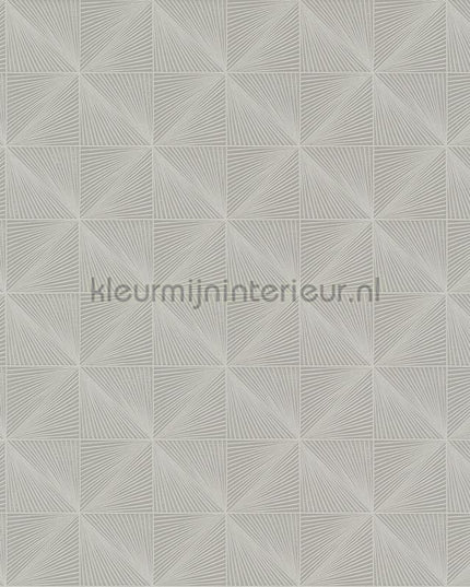 Hookedonwalls Barklay 35161 | Bestellen bij https://www.kleurmijninterieur.nl/