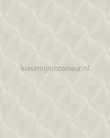Hookedonwalls Barklay 35163 | Bestellen bij https://www.kleurmijninterieur.nl/