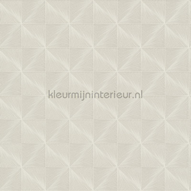 Hookedonwalls Barklay 35163 | Bestellen bij https://www.kleurmijninterieur.nl/