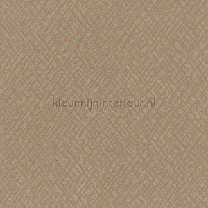 Hookedonwalls Terra Cotta 42108 | Bestellen bij https://www.kleurmijninterieur.nl/
