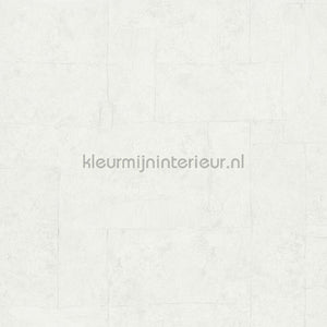 Hookedonwalls Terra Cotta 42113 | Bestellen bij https://www.kleurmijninterieur.nl/